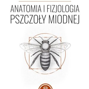 ANATOMIA I FIZJOLOGIA PSZCZOŁY MIODNEJ (ANETA STRACHECKA