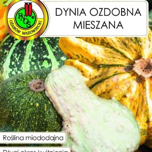 DYNIA OZDOBNA MIESZANA 2G