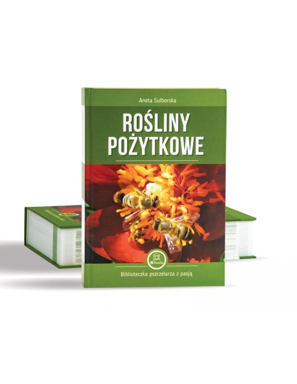 ROŚLINY POŻYTKOWE (ANETA SULBORSKA)