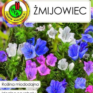 ŻMIJOWIEC 1G